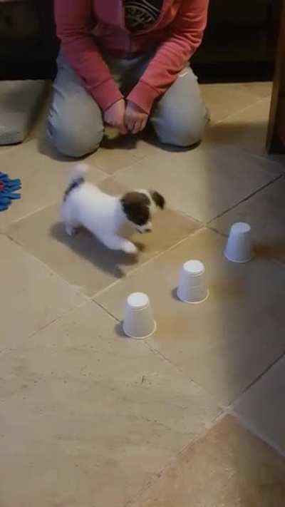 Jimmy plays with cups!