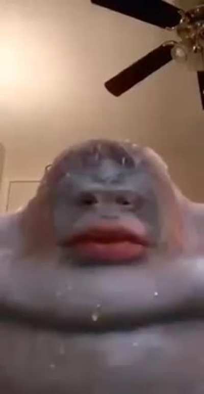 POV: you referred to the poop god as "Trinimac"