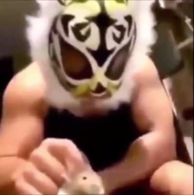 Hampster