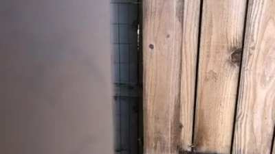 Bad Horror Movie Trailer #1