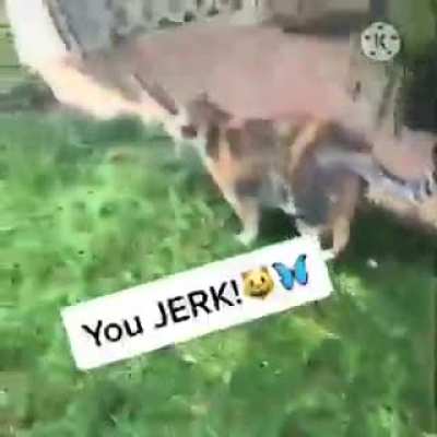 😳😳😳