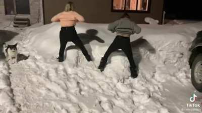 Boobs Ass Tits Porn GIF by weeder69