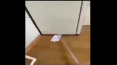 Lol