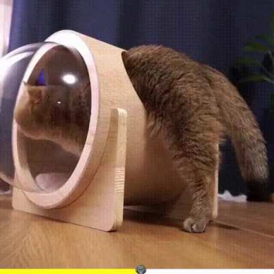 kitty space shuttle