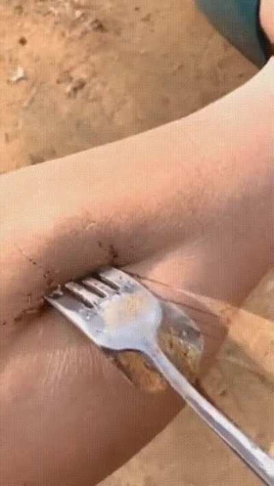 Blursed_hand