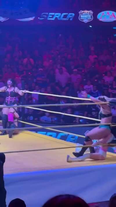 Different angle of Lady Maravillas stinkface at Domo Care 3/22/26 credit owners