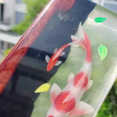 Koi fish hand painted wrist rest.