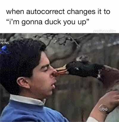 duck this