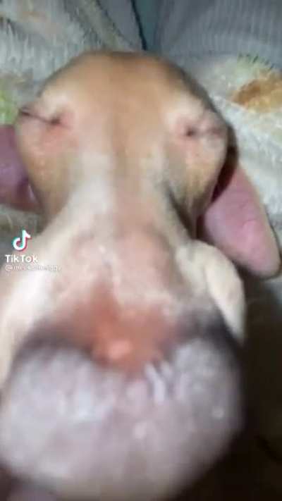 R&egrave;gle