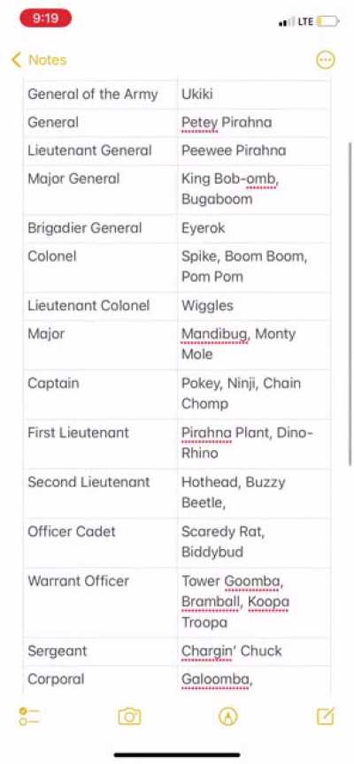 Bowser&rsquo;s Military Hierarchy