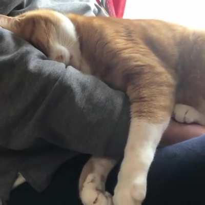 Human, I command you "don't move"