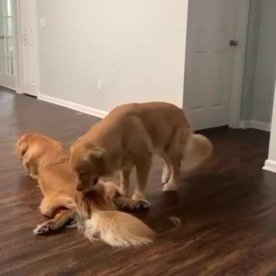 That's a good spot