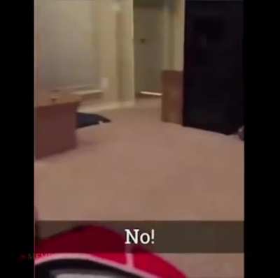 No! No! No! No!