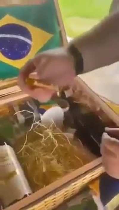 kit do mito