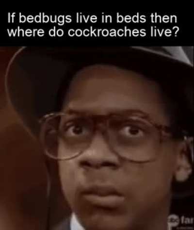 I wonder where