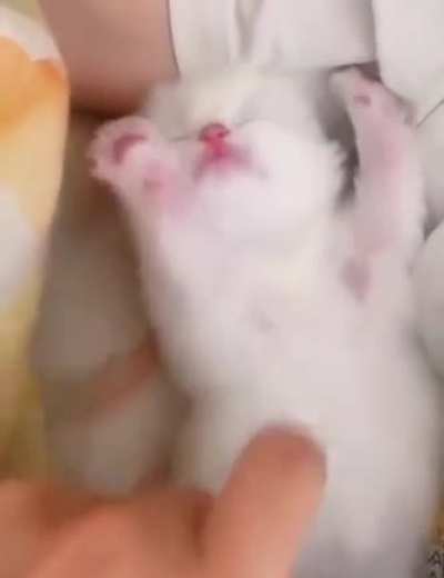 Немного милоты