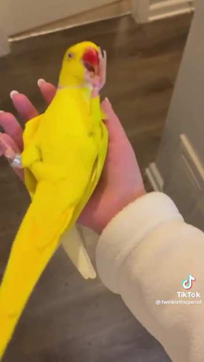 Walking banana