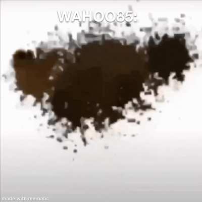 Alright I’m getting rid of the WAHOO85 persona