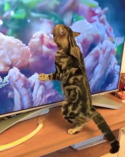 Tasty screen