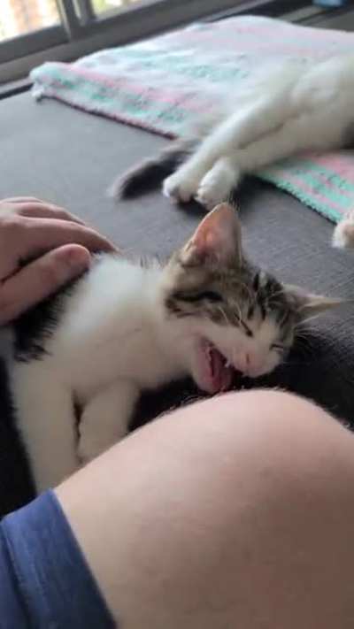 Little baby with a BIG voice