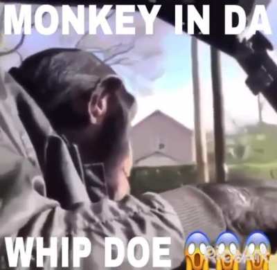 he chillin doe 😤🙌