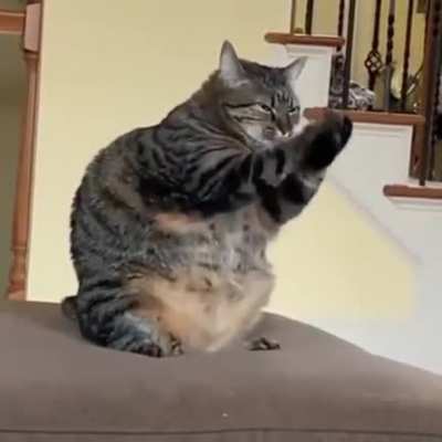 Şişko kedi redditin &uuml;lkemize bilgileri vememesi i&ccedil;in kgbyi kutsuyor.