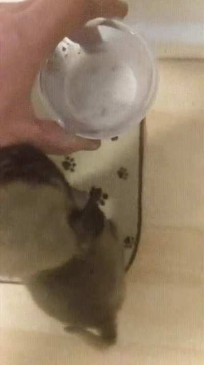 He&rsquo;s so excited to eat