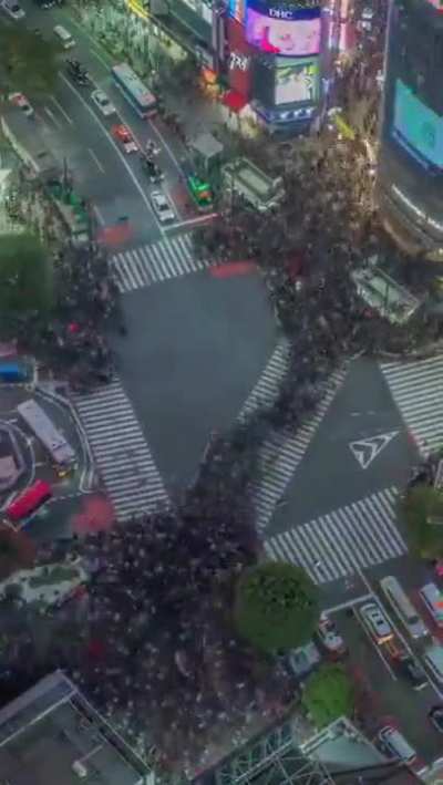 The Shibuya Crossing in Tokyo is frequently called "the busiest pedestrian intersection in the world". A flow measurement survey estimated up to 390,000 pedestrians per day