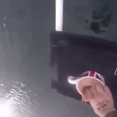 Win