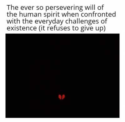 We're all gonna make it brah