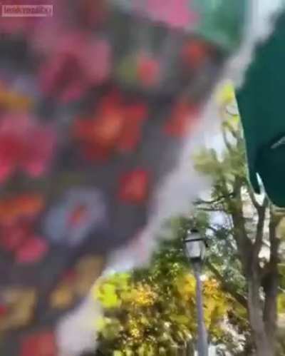Trashy Woman Gets Kicked out of Disneyland for pissing in a cup and argue her case with the guards