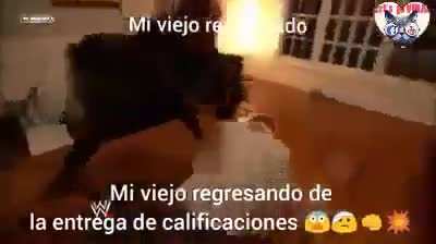 Mi tutora me funó 😔