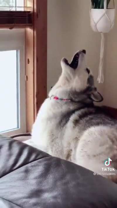 Wait for it..