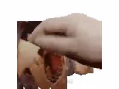 Pet tha spooky boi