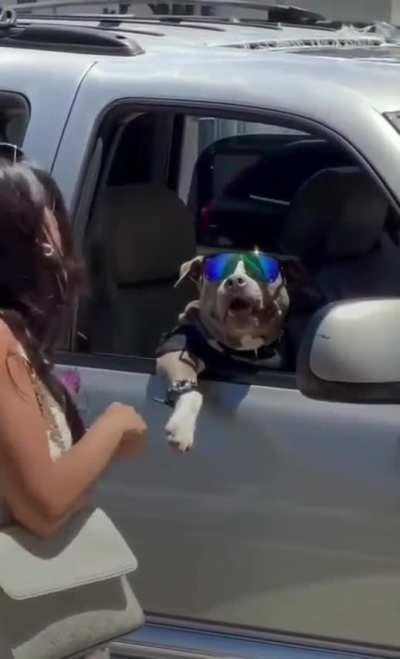 Snoop Dawg