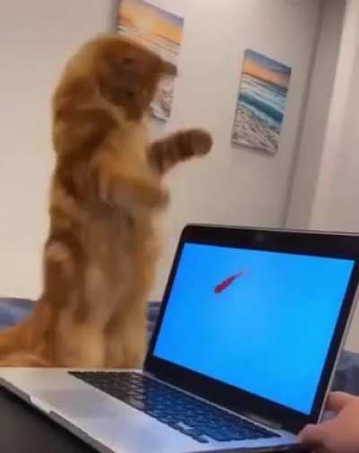 Leo's wiggle, wiggle, wiggle!