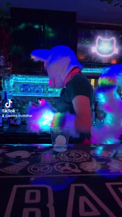 Welcome to the Catfox Lounge 