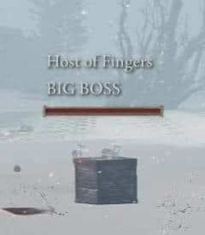 Top tier host