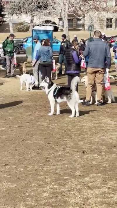 Went to Goldens in Golden, CO today and it&rsquo;s officially my new &ldquo;happy place&rdquo;. (OC)