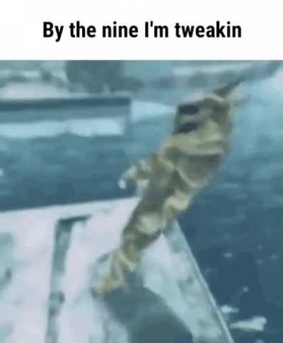 Rule