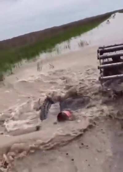 Crawfish Surprise