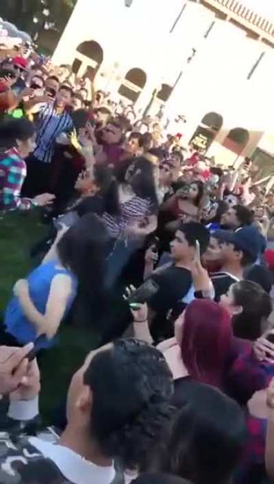 No time for brawls!