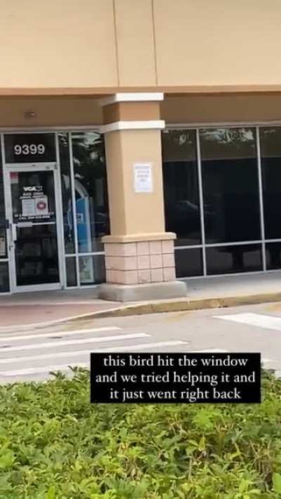 Bruh