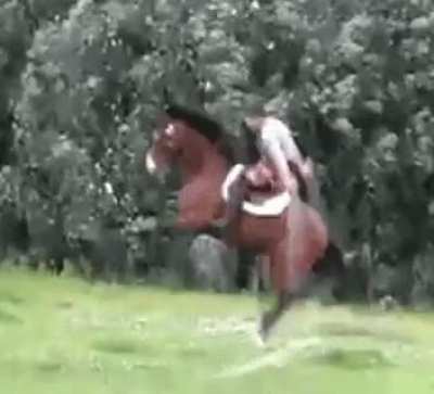flIPpAnt HorSE AND rIDEr Dgaf abOuT shoW JUMpiNg CoMpEtItiOn so theY sKIP iT
