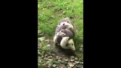 holding on to mommy