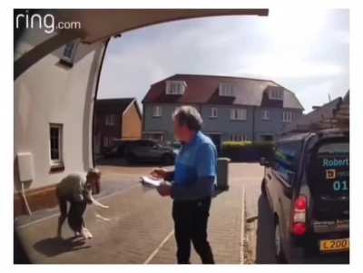 Lady lobs poor dog to the sky