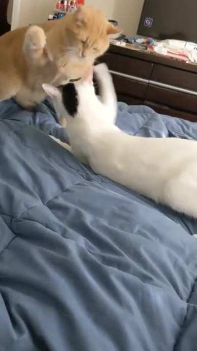 When you want to get in one last slap
