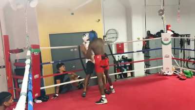 Guy off the street asks Boxing Coach for a challenge