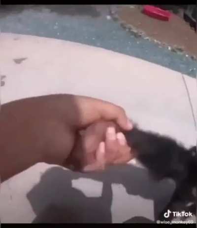 Aaaaa
