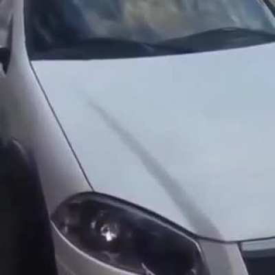 carro do zap